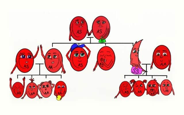 What is SCD? - Sick Cells
